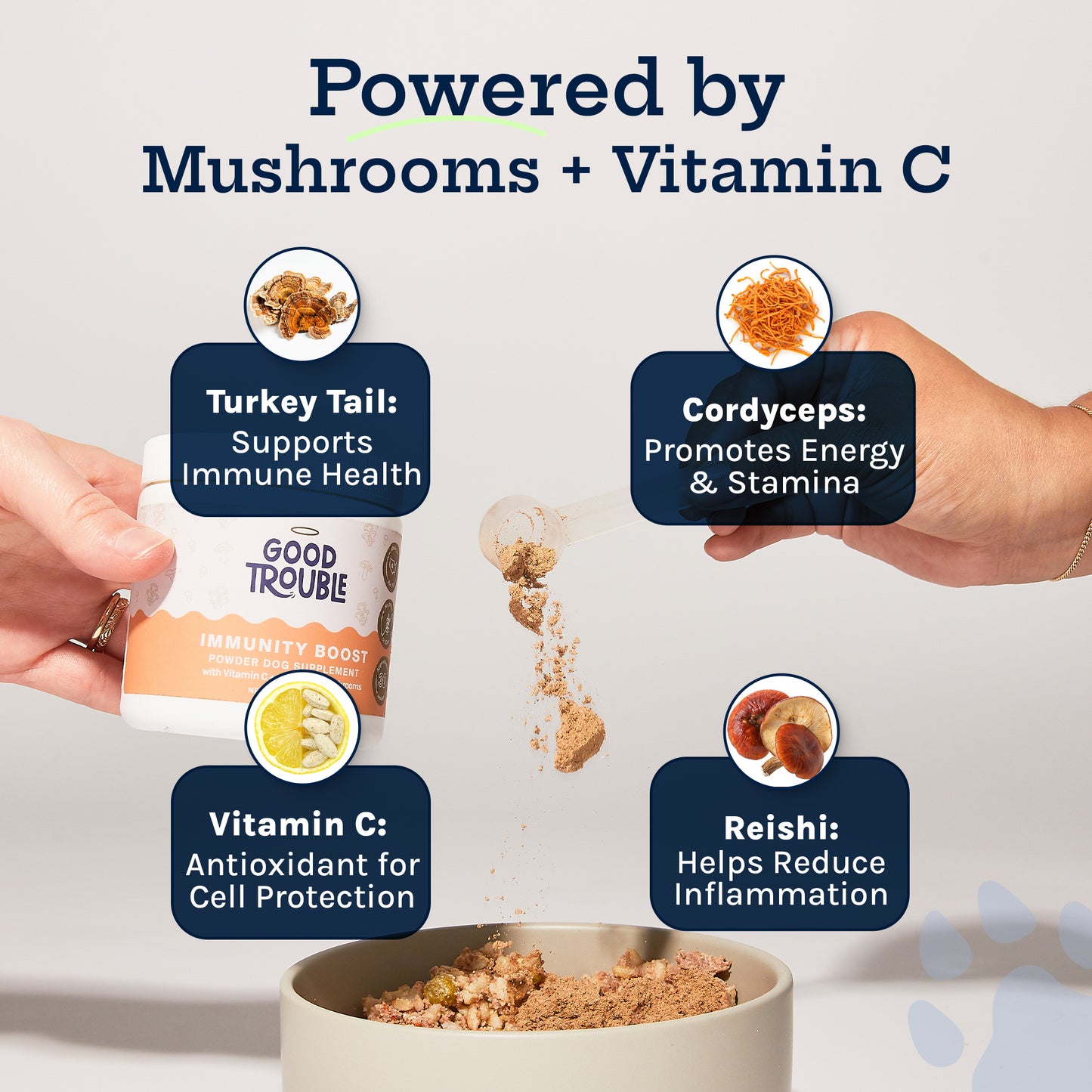 Immunity Boost Mushroom Powder