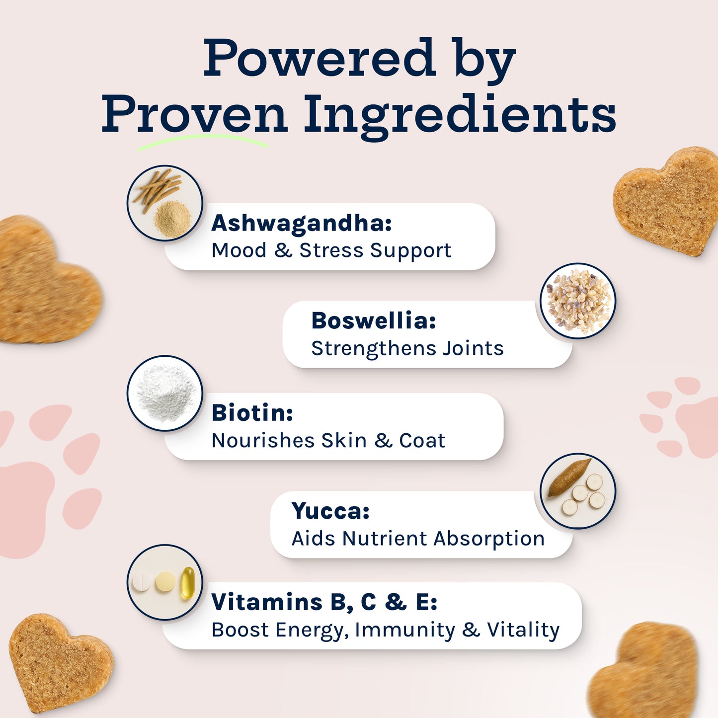 Complete Care Multivitamin Soft Chew