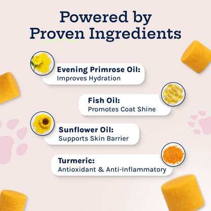 Skin + Coat Soft Chew