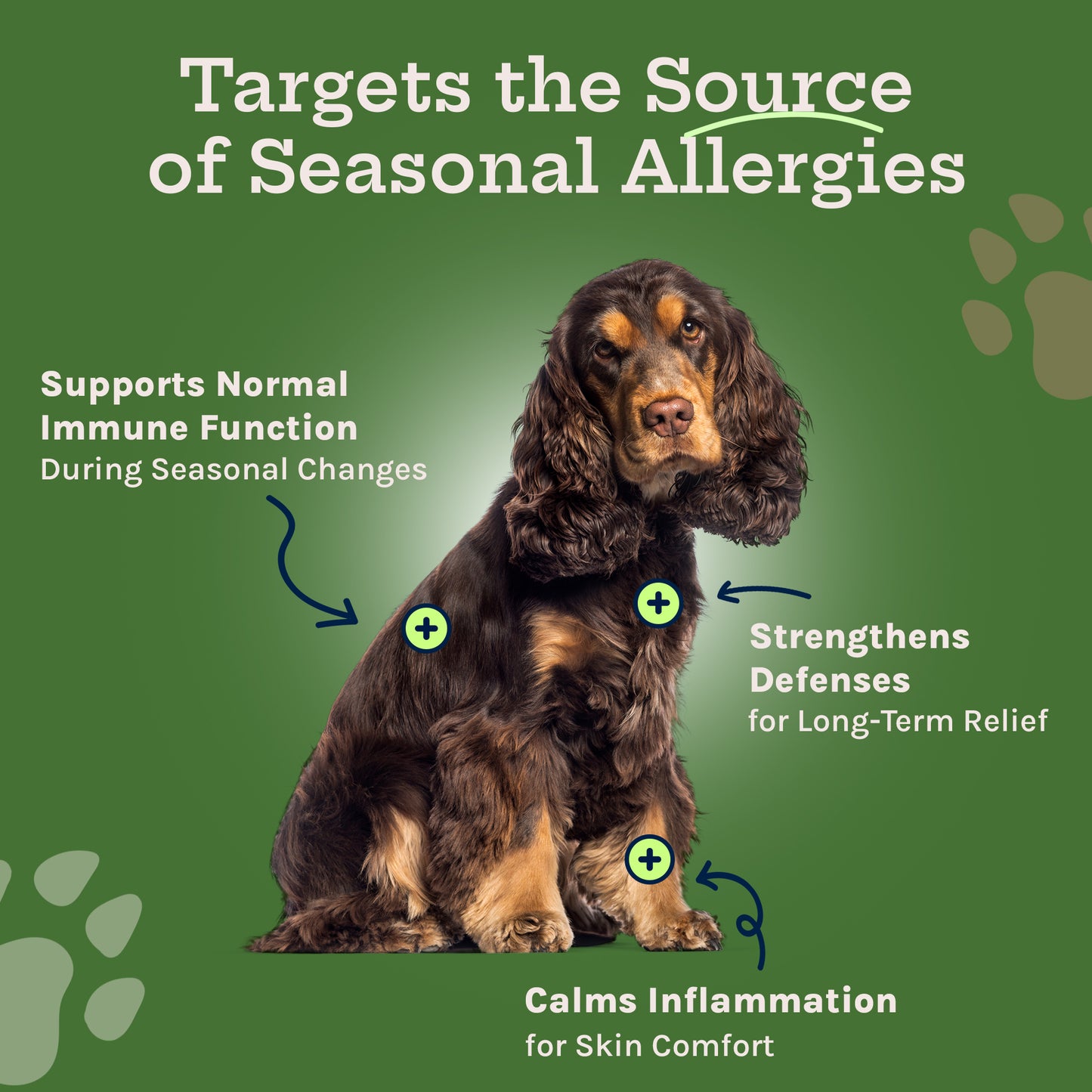 Allergy Support