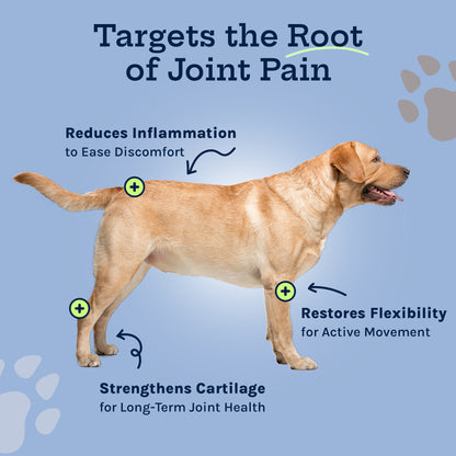 Hip + Joint Soft Chew