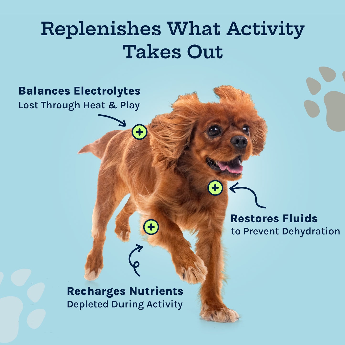 Hydration Powder + Electrolytes