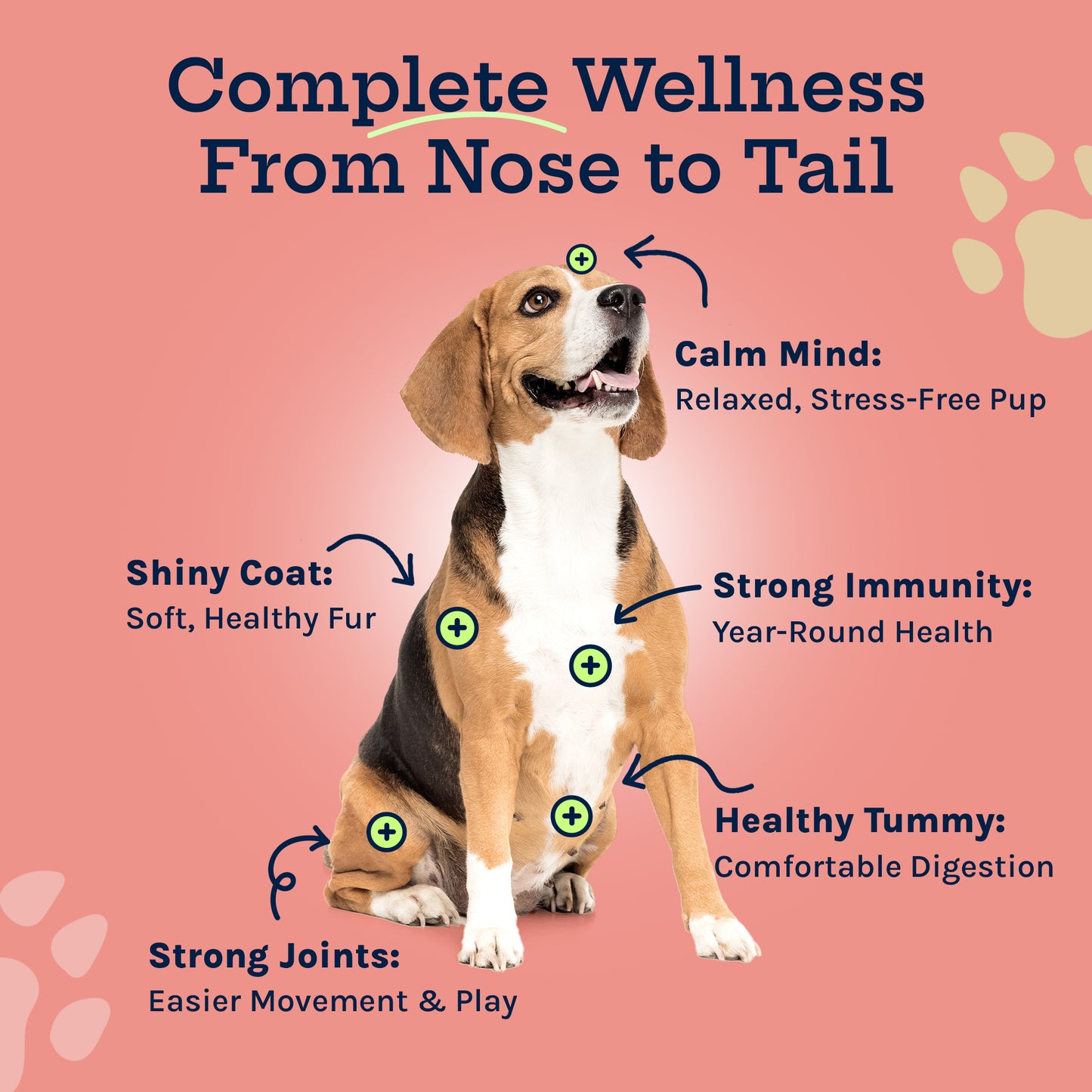 Complete Care Multivitamin Soft Chew