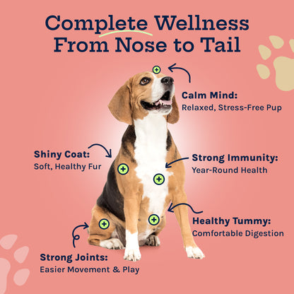 Complete Care Multivitamin Soft Chew