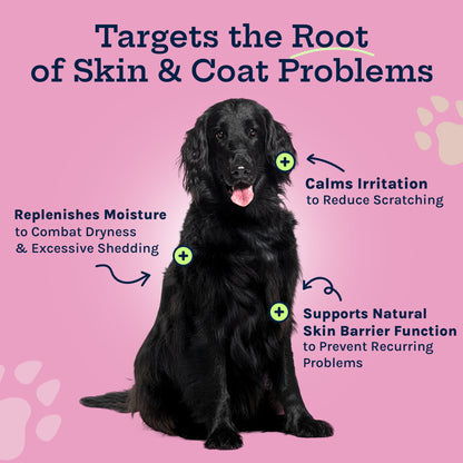 Skin + Coat Soft Chew