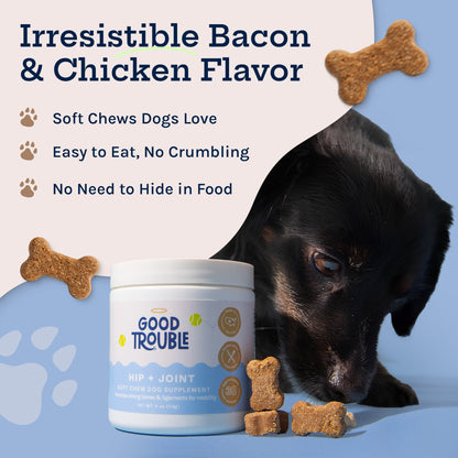 Hip + Joint Soft Chew