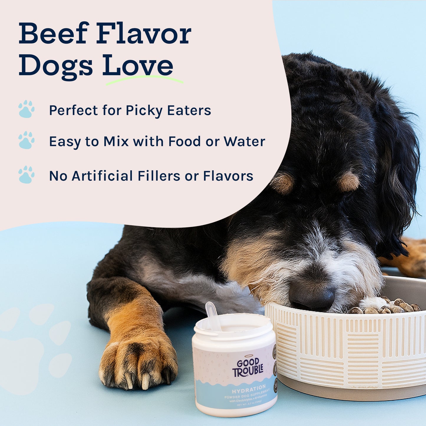 Hydration Powder + Electrolytes