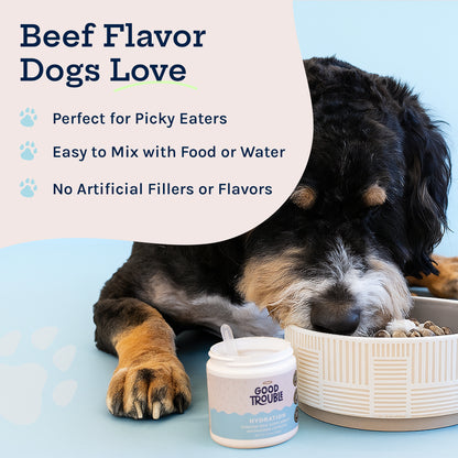 Hydration Powder + Electrolytes