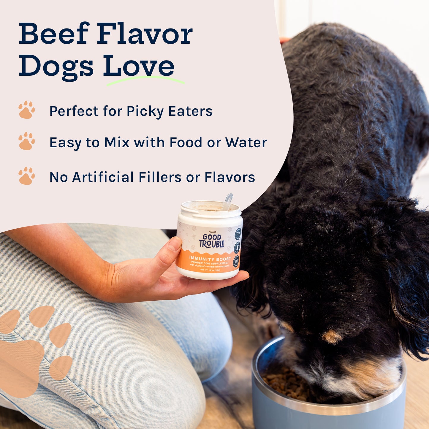 Immunity Boost Mushroom Powder