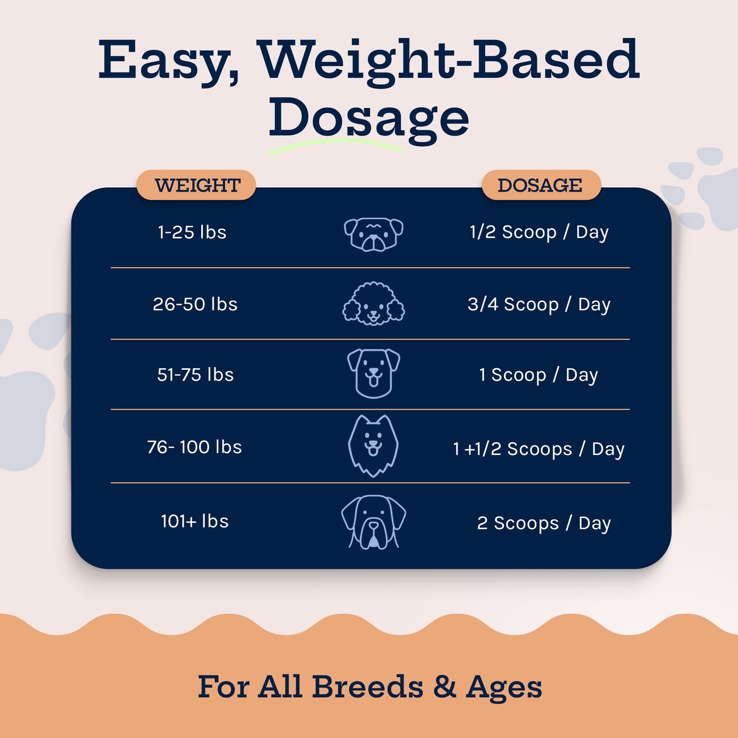 Immunity Boost Mushroom Powder