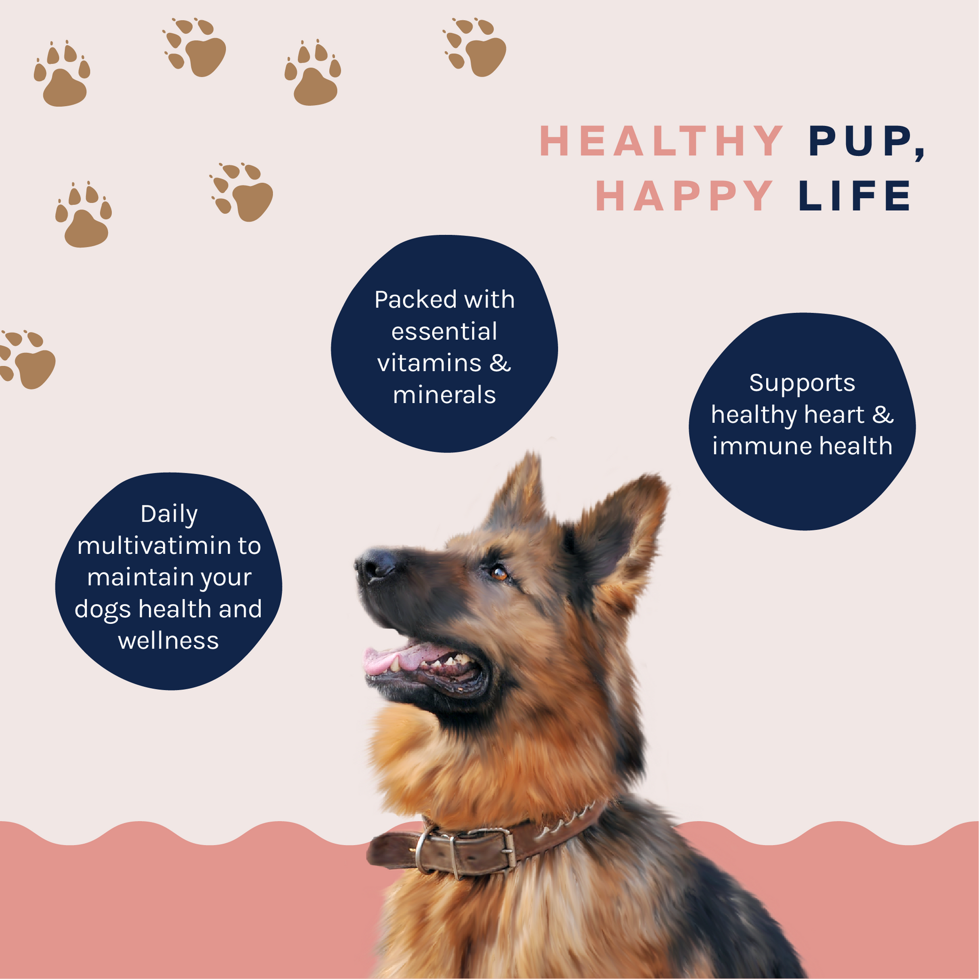 German shepherd multivitamin cheap