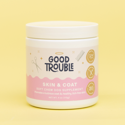 Skin + Coat Soft Chew