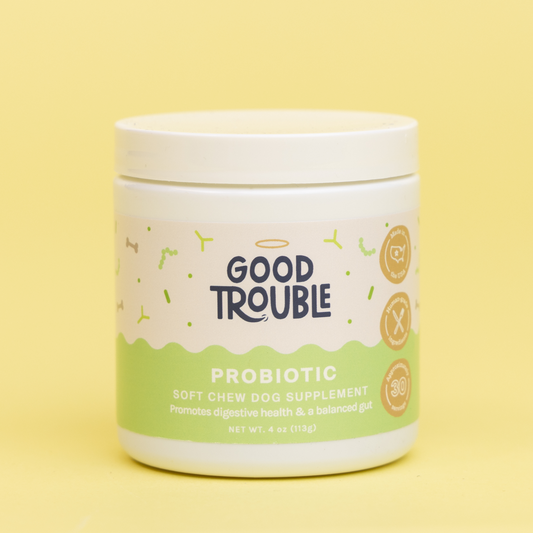Probiotic Soft Chew