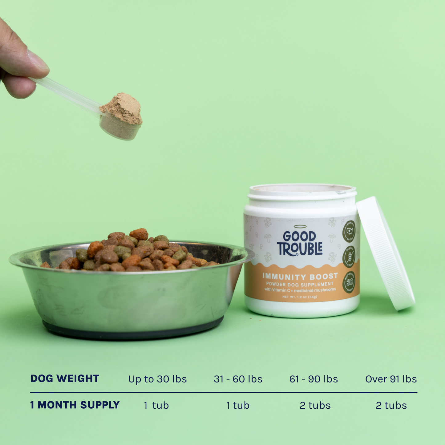 Immunity Boost Mushroom Powder