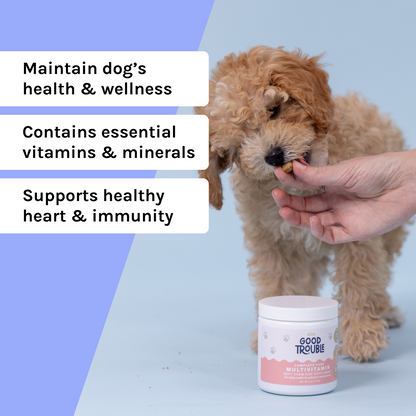 Multivitamin Soft Chew