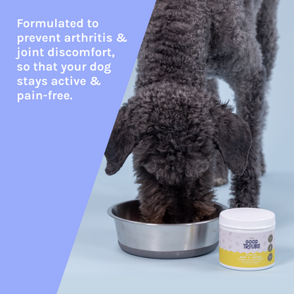 Hip + Joint Powder