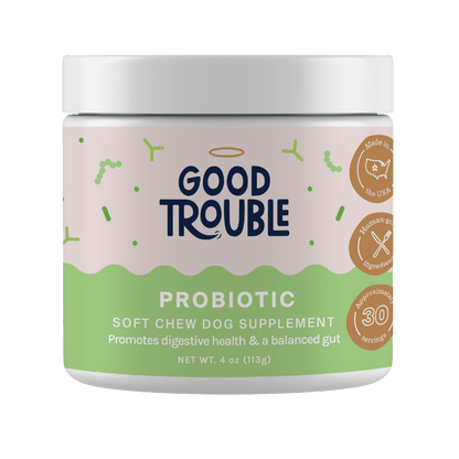Dog Probiotic Supplement