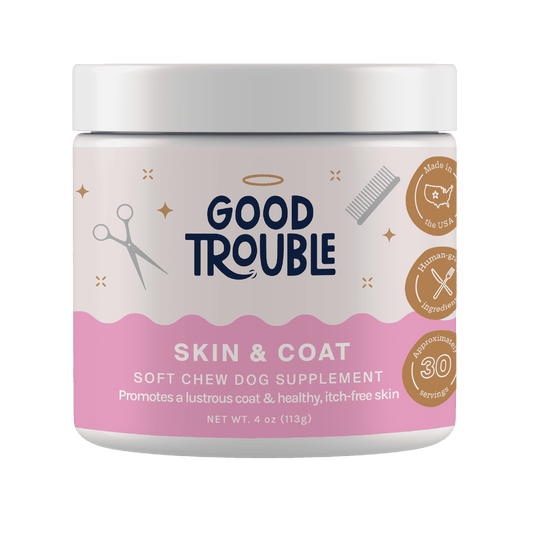 Dog Skin & Coat Supplement