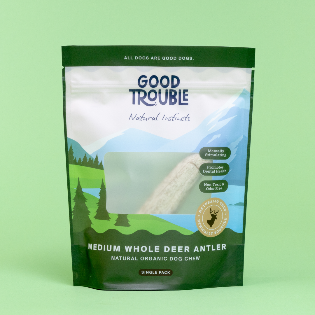 Wild Deer Antler Dog Chews (Single Pack)