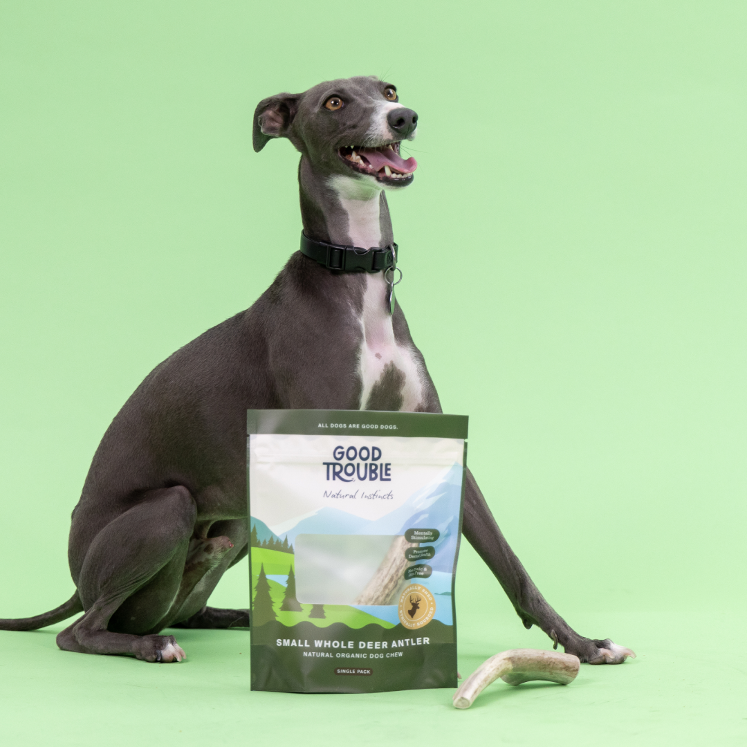 Wild Deer Antler Dog Chews (Single Pack)